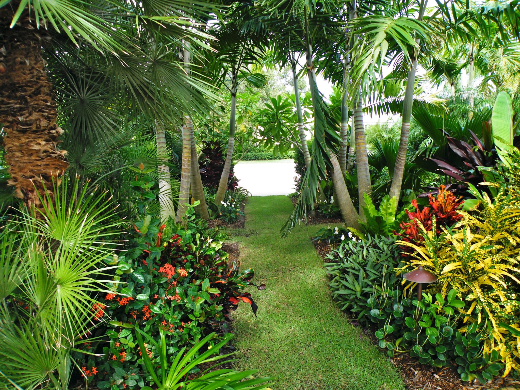 Beautiful Tropical Garden Pathway Ideas Thuy San Plus