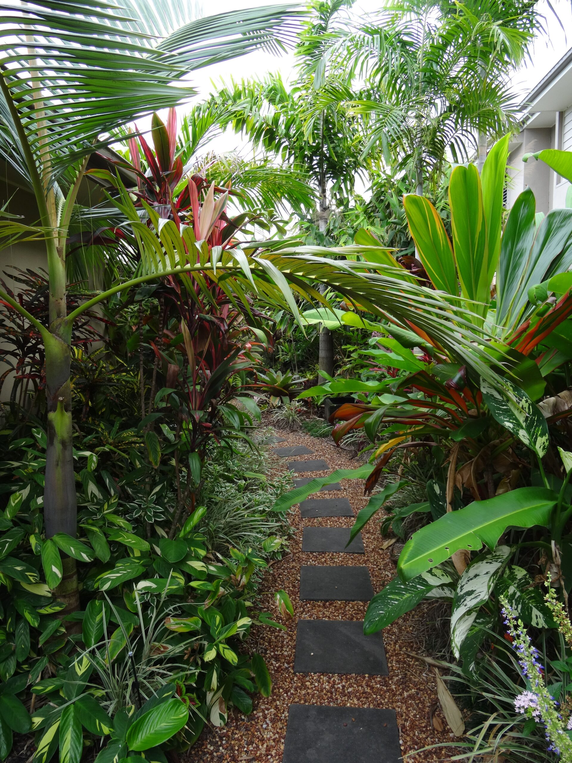 40 Beautiful Tropical Garden Pathway Ideas – Thuy San Plus