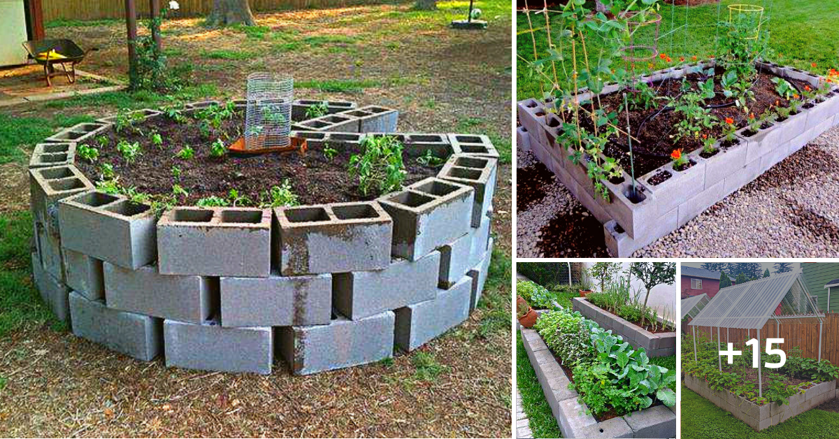15 Easy & Cheap DIY Ideas “Vegetable Garden Bed” With Concrete Blocks II