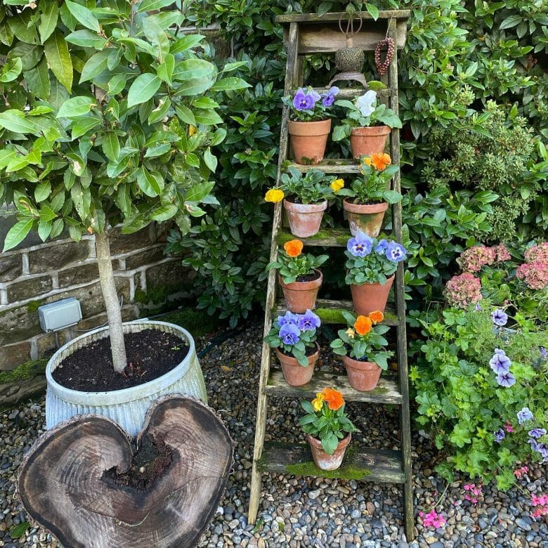 30 Brilliant Ideas to Make Your “Garden” Look Nice on a Budget - BienTin
