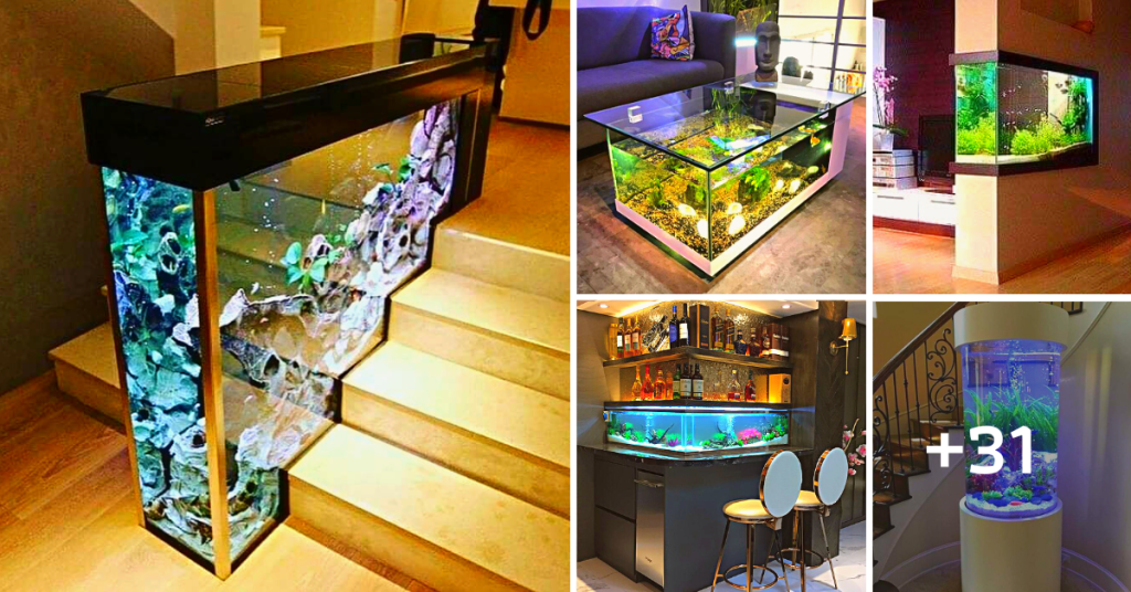 31 Creative Aquarium Ideas to Freshen Up Your Home Interior